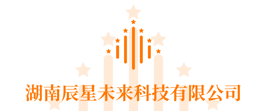 辰星logo.png