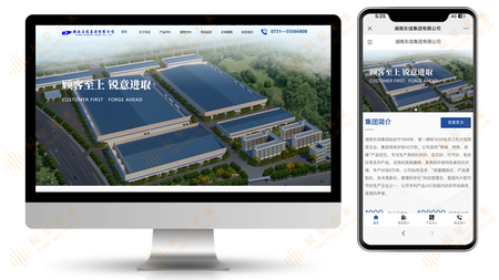 湖南东信集团有限公司