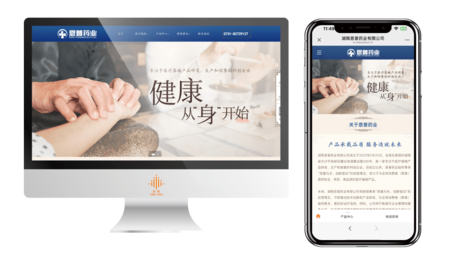 湖南恩普药业有限公司